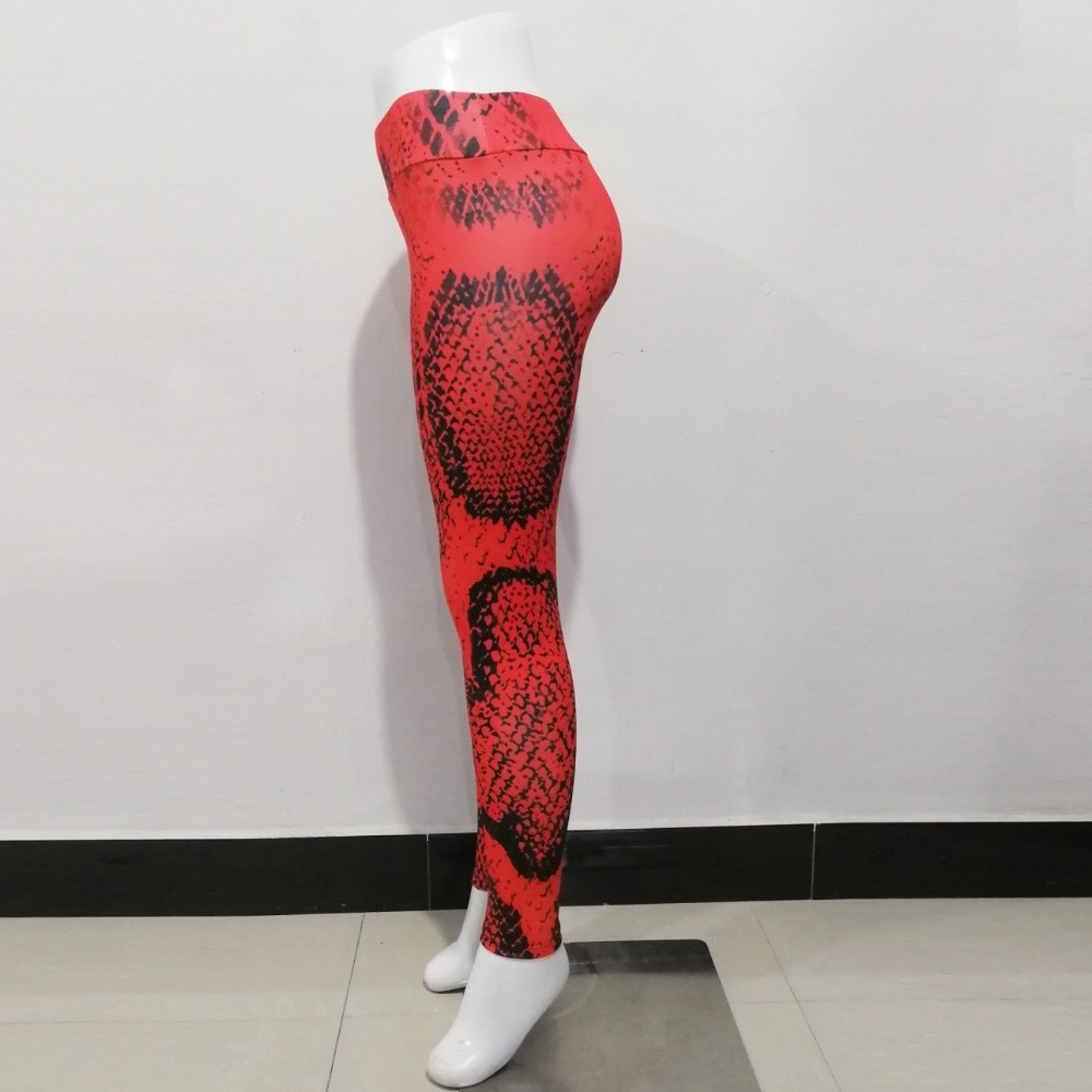 Nahtlose Leggings mit Schlange – Pilates Yoga Legging Bewertung und Preis